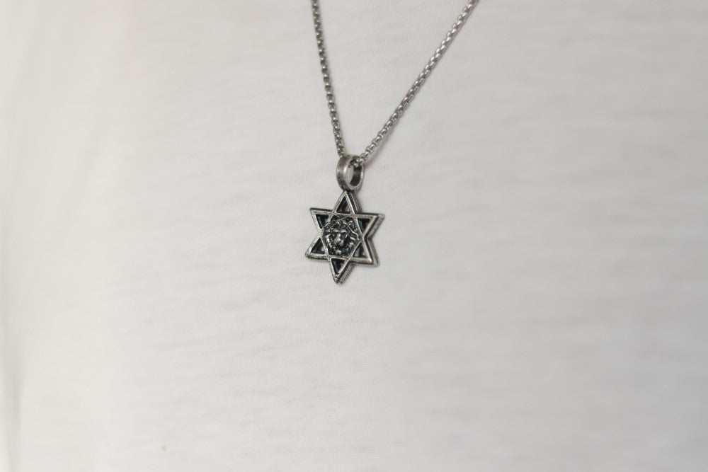 שרשרת עם כלביא מגן דוד בצבע כסף לגבר עם תליון ׳עם ישראל חי׳ וצורת אריה