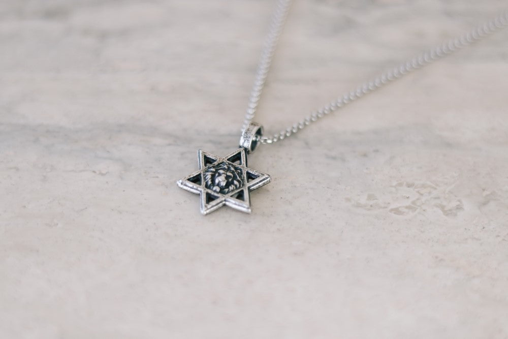שרשרת עם כלביא תליון אריה מגן דוד כסף לגבר עם ישראל חי